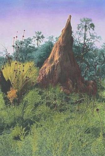Termite Mound, Africa