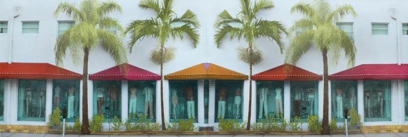 Shop Windows and 4 Palm Trees, Miami Beach (diptych)