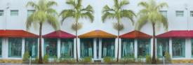 Shop Windows and 4 Palm Trees, Miami