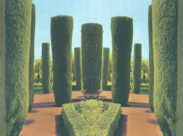 Topiary with Flowers (diptych)