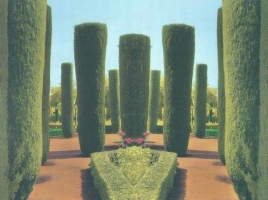 Topiary with Flowers